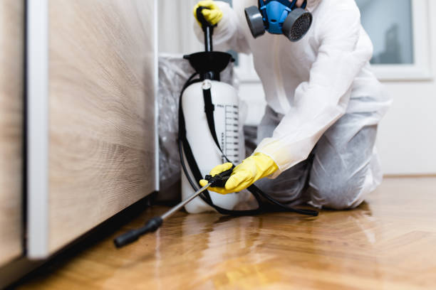 Pest Prevention Services in Kiryas Joel, NY