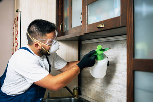 Best Rat Extermination Near Me  in Kiryas Joel, NY