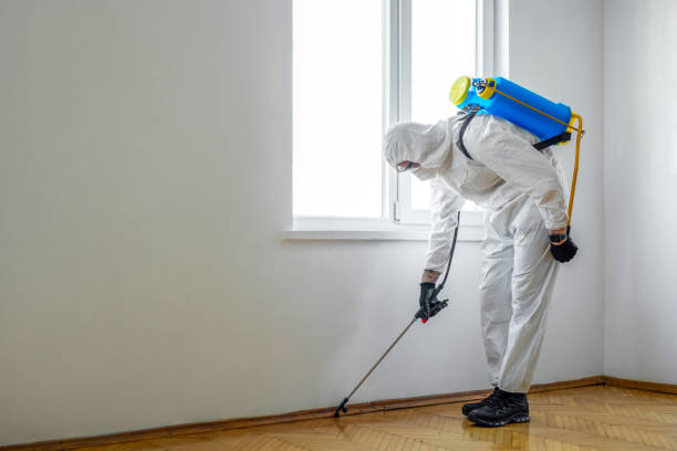 Best Residential Pest Control  in Kiryas Joel, NY