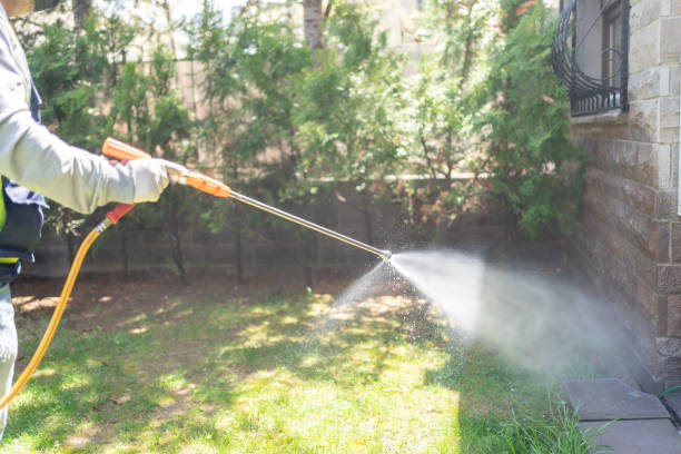 Best Best Pest Control Companies  in Kiryas Joel, NY