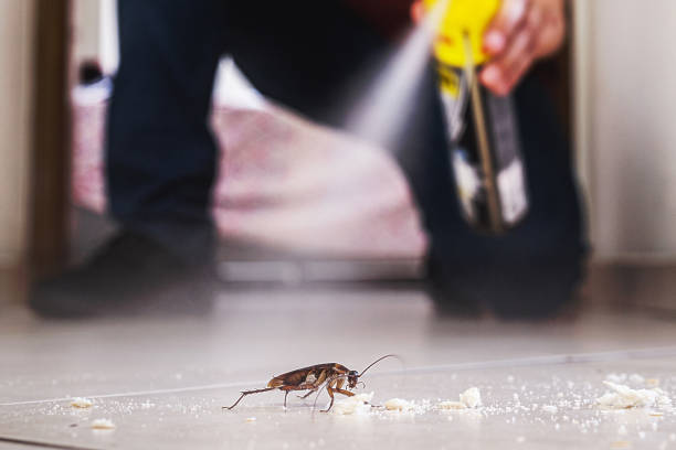 Best Pest Prevention Services  in Kiryas Joel, NY